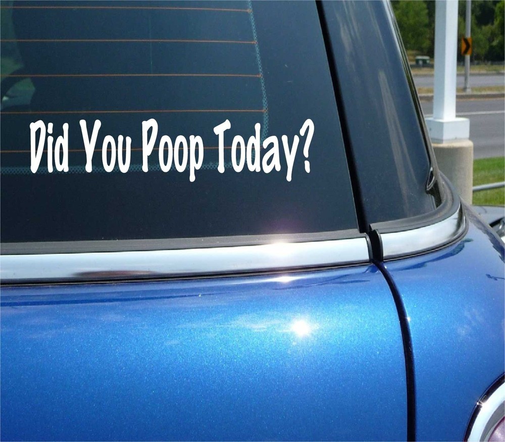 DID YOU POOP TODAY DECAL STICKER JOKE GAG PRANK CAR TRUCK HUMOR FUNNY