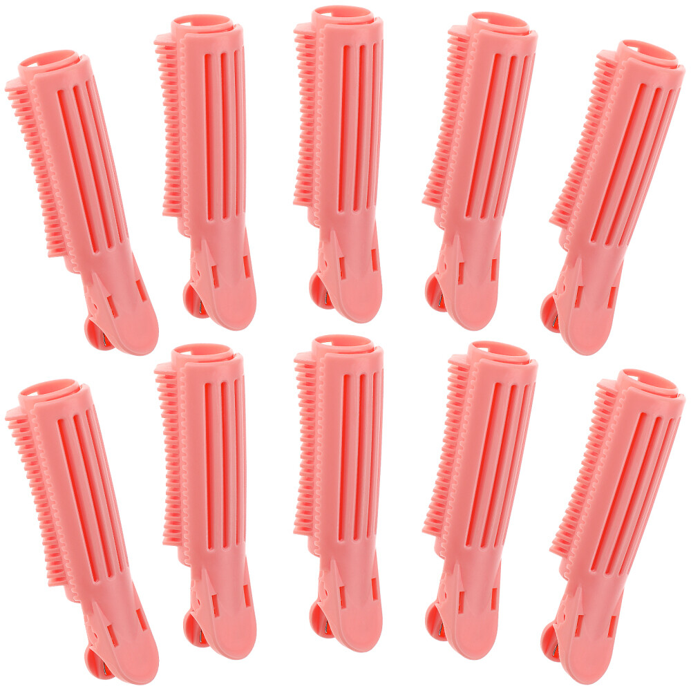 10 Pcs Volume Clips for Roots Curlers Hair Salon Tools Miss