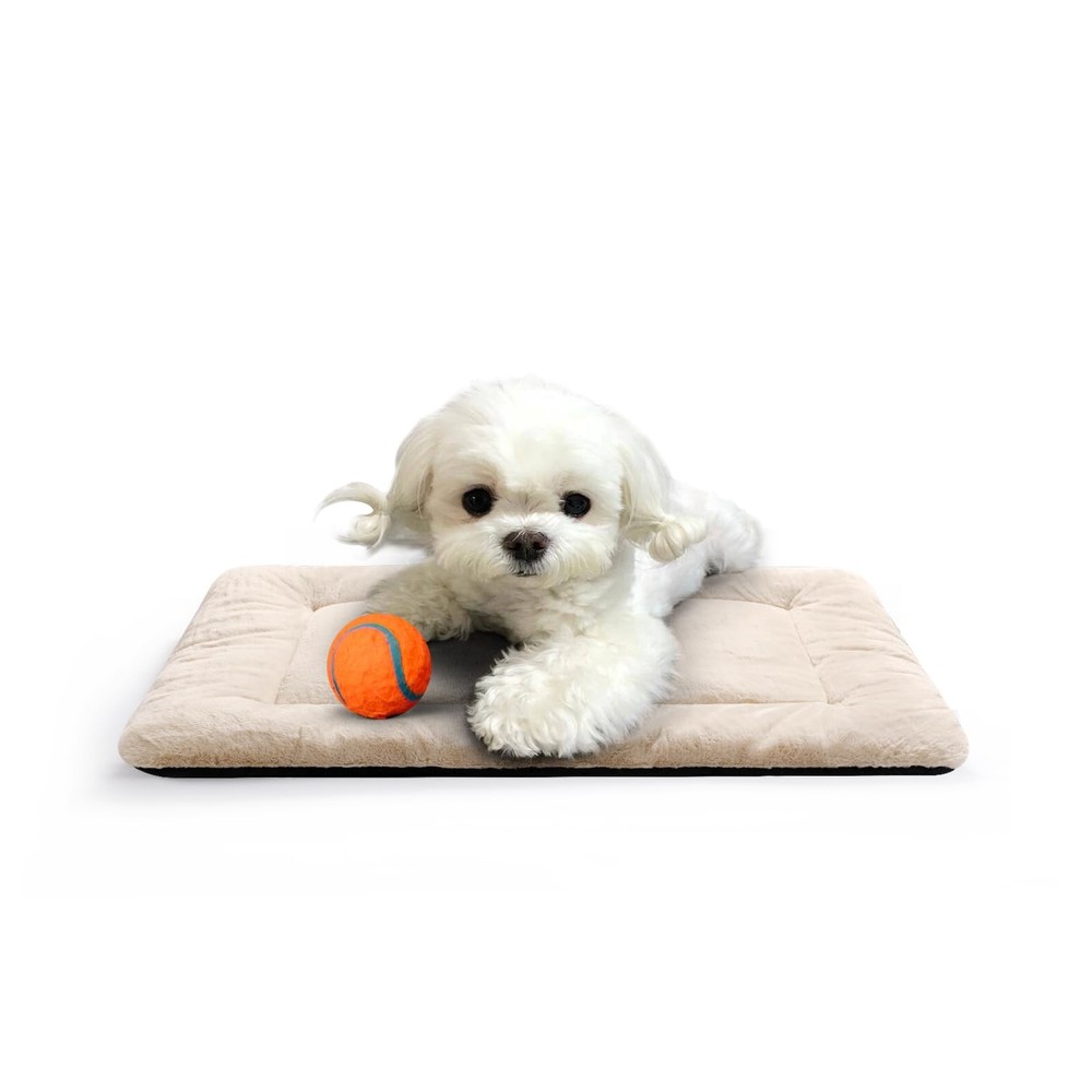Ultra Soft Washable Dog Crate Bed for Extra Small Dogs