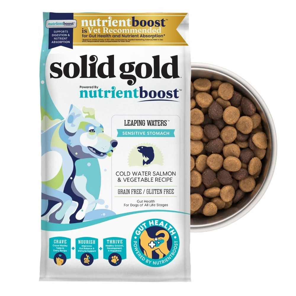 Solid Gold Salmon Dog Food for Sensitive Stomachs – Grain Free  Gluten Free K...