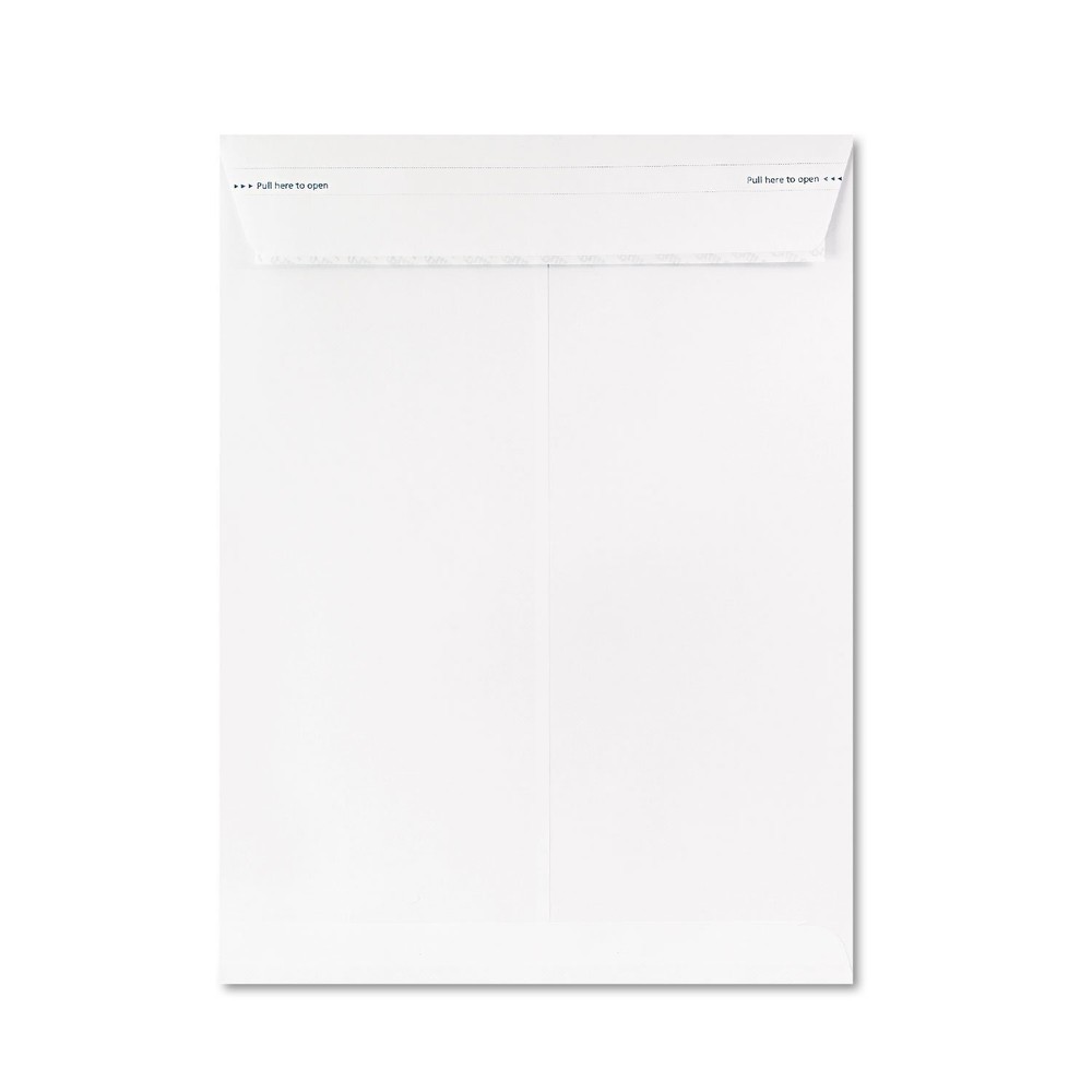 Ampad Fastrip Security Catalog Envelope, 9 Inch x 12 Inch, Peel & Seal Adhesi...