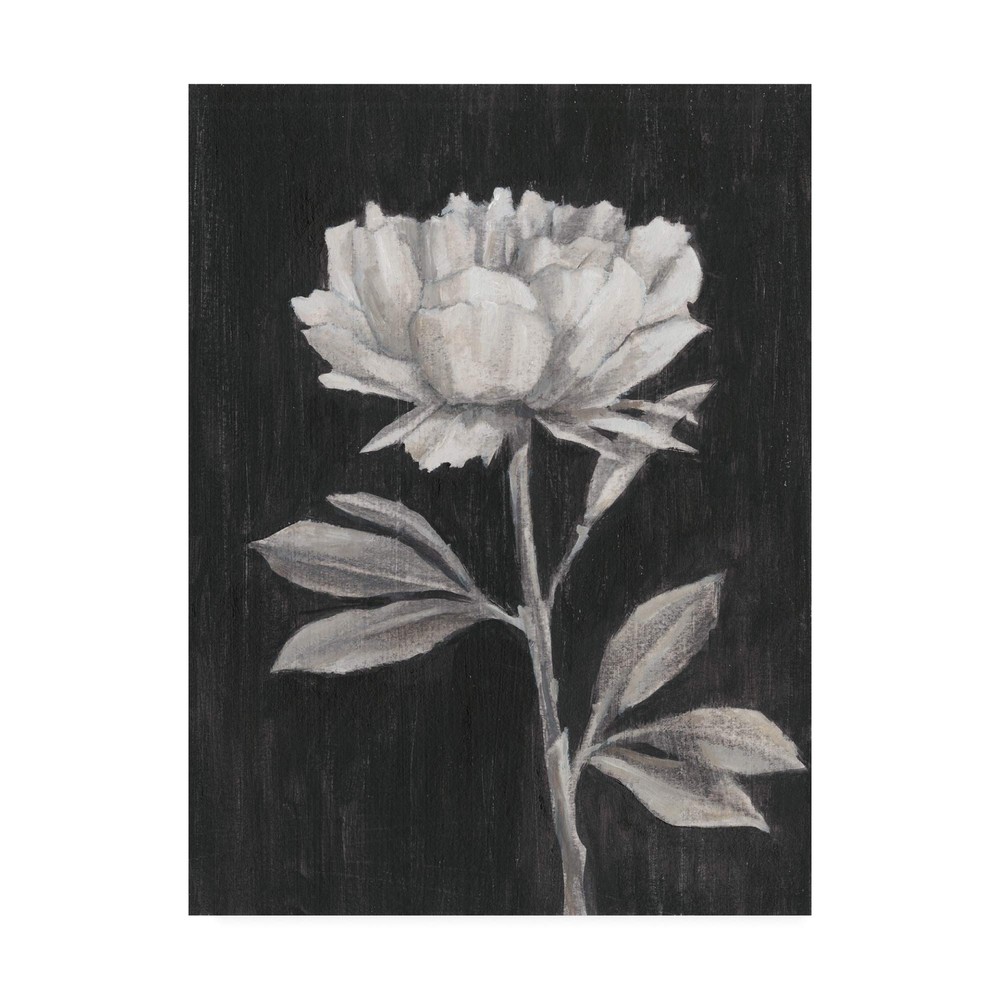 Black and White Flowers III by Ethan Harper, 18x24