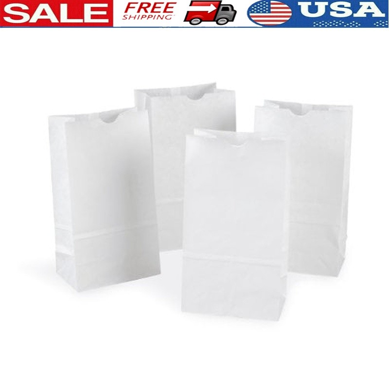 Craft Paper Bags Arts & Crafts Projects Gift Bags Puppets Masks 100 Pack New