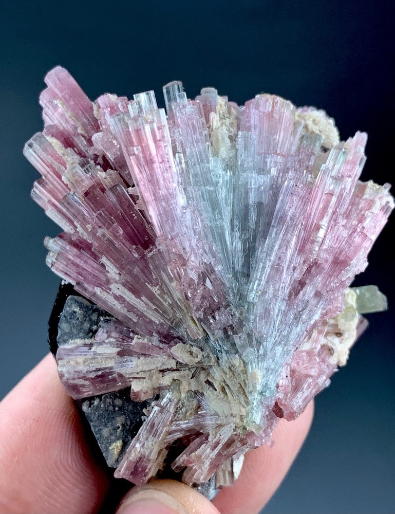 Cluster of Tourmaline W.Multi Terminated Quartz Specimen Afghanistan 522 Carat