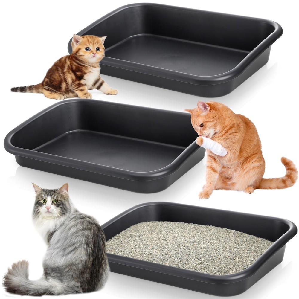 3 Pack Low Entry Cat Litter Box with Open Top for Kittens and Senior Cats