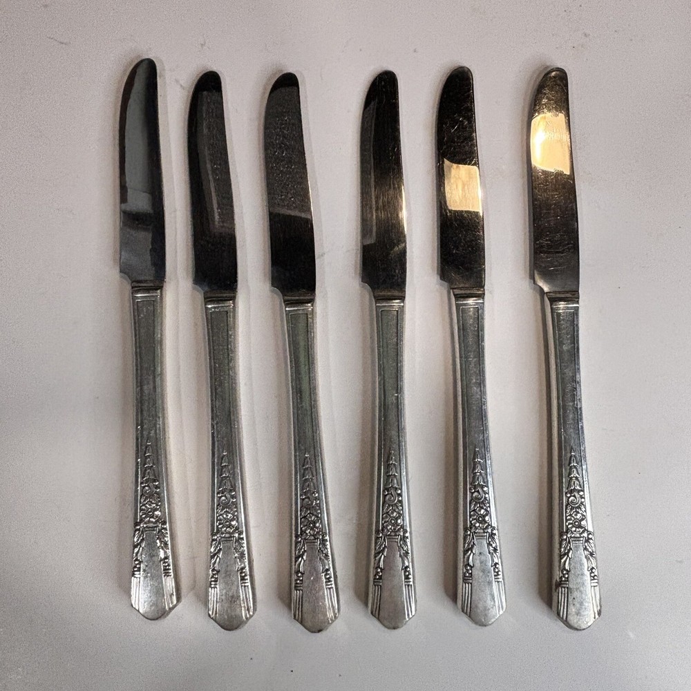 Simeon L & George H. Rogers Co X/TRA Silver Plated 6 Table.  Knifes Jasmine 1939