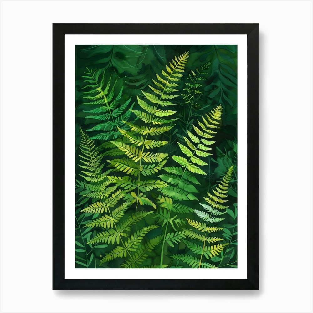 Ferns In The Forest Art Print Framed Wall Art Poster Canvas Print Picture