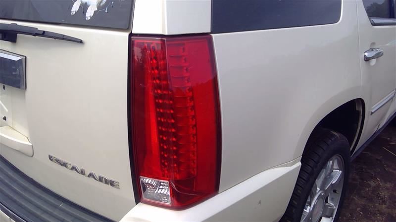 Passenger Tail Light Without Premium Collection Fits 07-14 ESCALADE 6030963