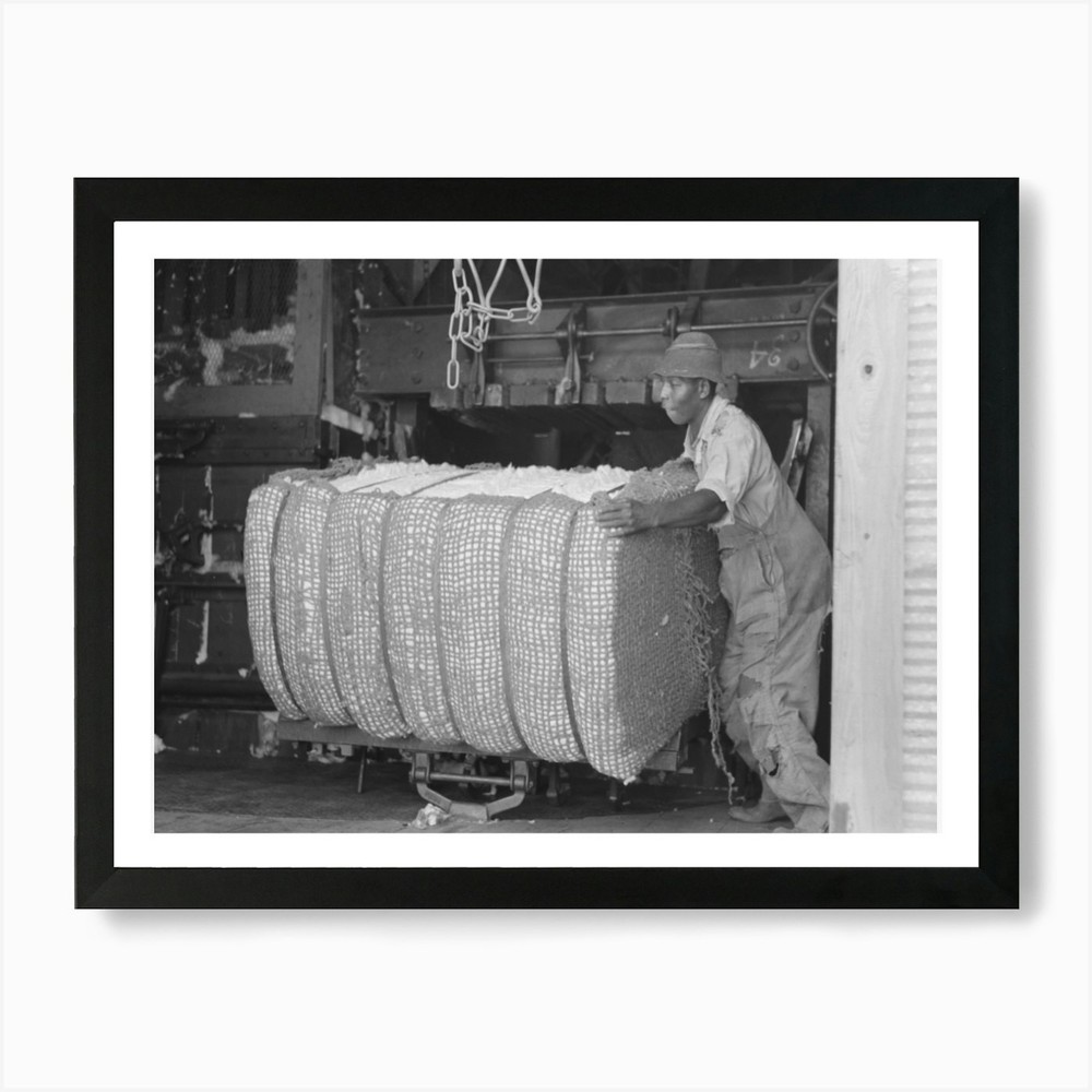 Vintage Cotton Gin Farm Labor Framed Wall Art Canvas Print