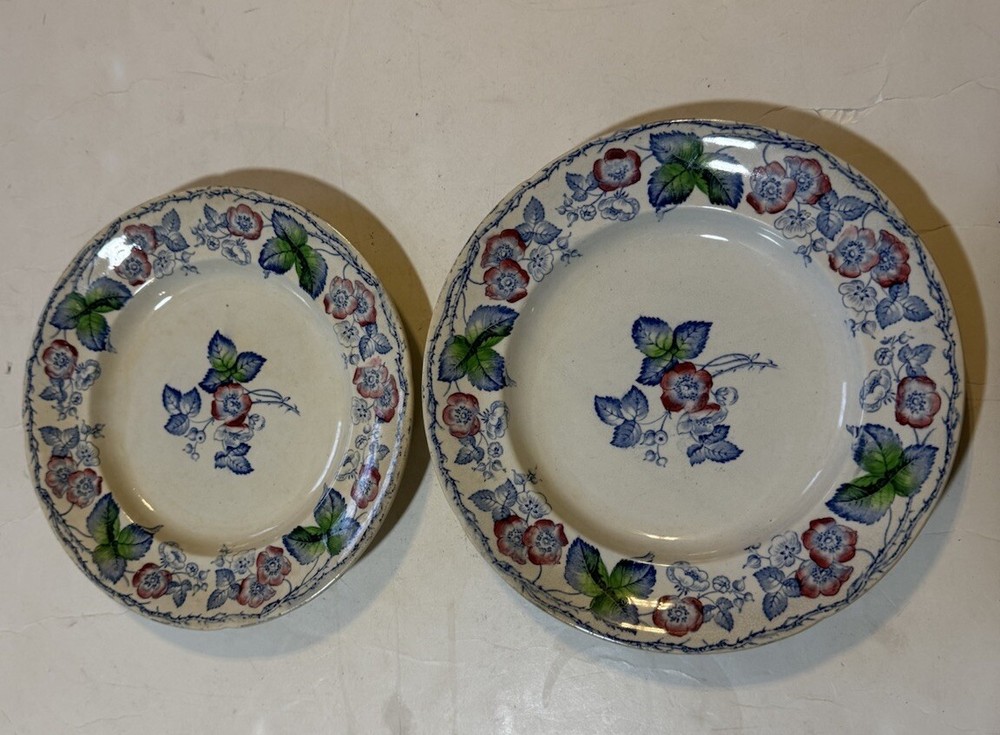 F.M.& C Blossom 2-Piece 8.5-Inch Vintage Ceramic Salad Plates Set