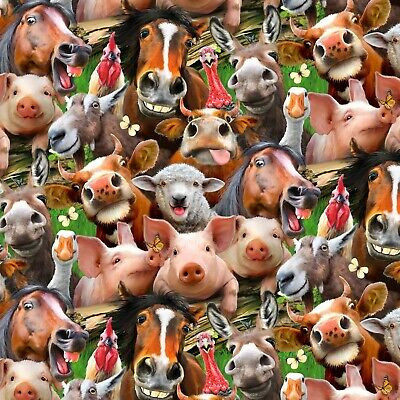 Farm Animal Fabric - Horse Pig Sheep Selfies by Elizabeth's Studio YARD