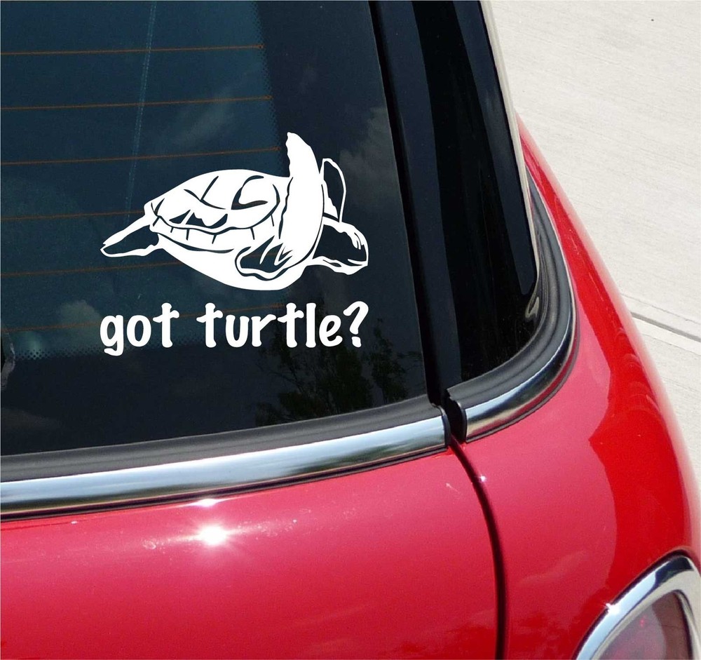 GOT TURTLE? STICKER DECAL OCEAN SEA LIFE BEACH CAR WINDOW WALL ANIMAL SAVE