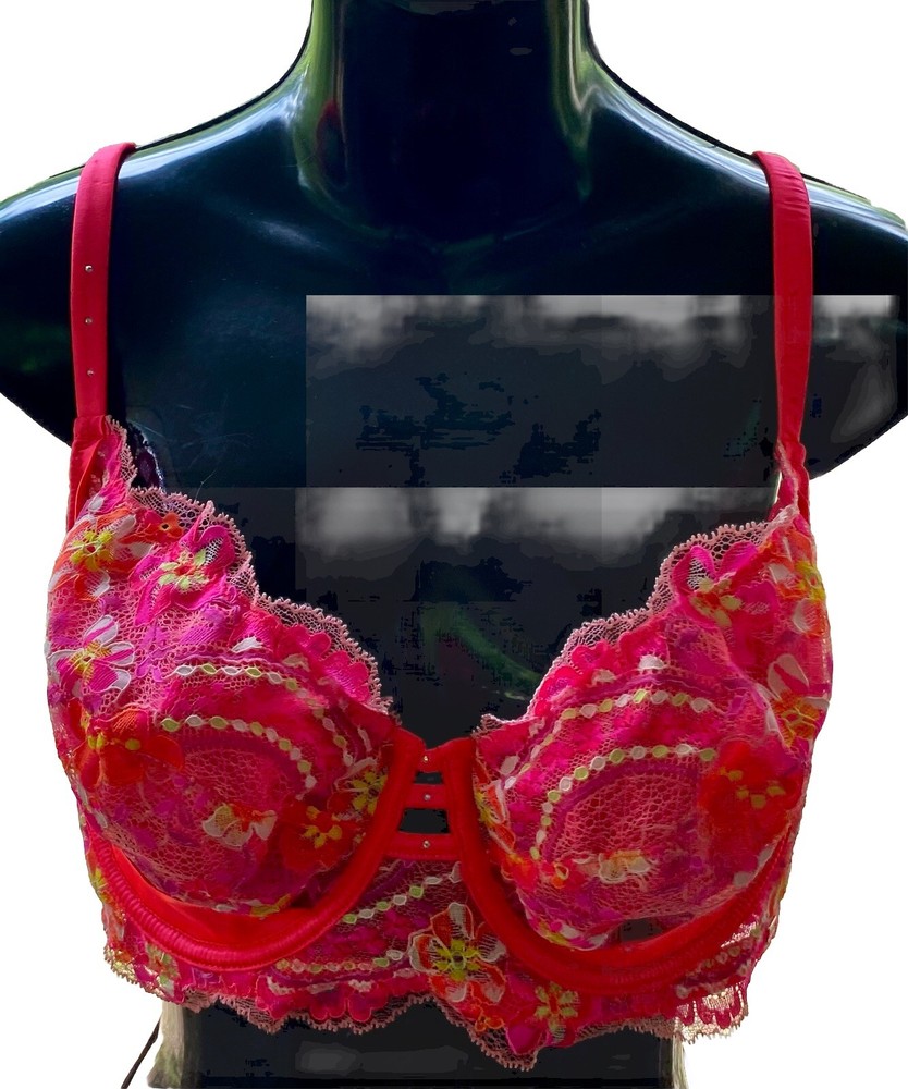 Bras N Things 16E Pink Stealing Hearts Devotion Full Cup Underwire Bra NWOT