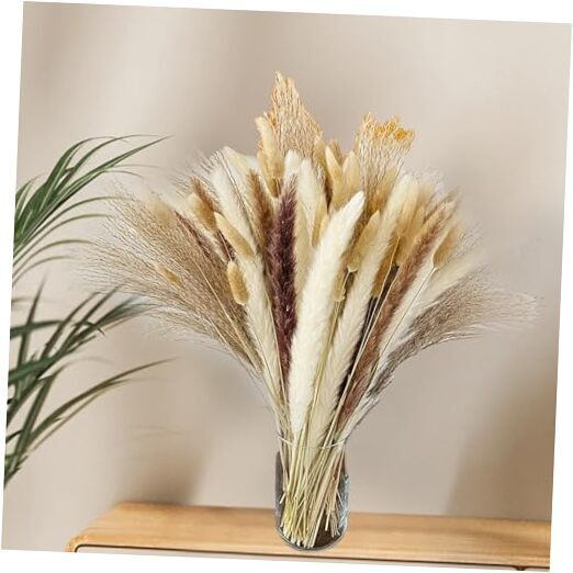 Natural Dried Pampas Grass Dried Flower Bouquet Table Boho Fluffy Dried hh252