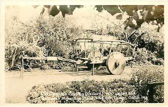 CA, Old San Diego, California, Old Spanish, Ox Cart,Ramona's Marriage Place,RPPC
