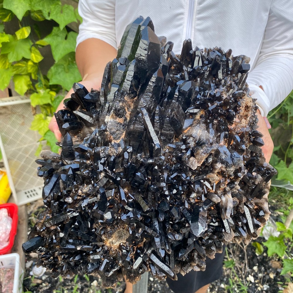 33.7lb Natural Black Smoky Quartz Crystal Cluster Raw Mineral Specimen