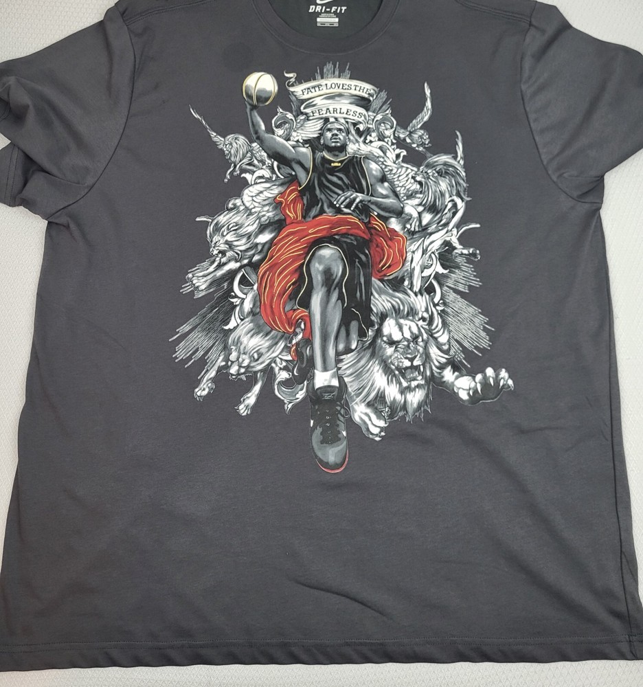 Nike Lebron James Shirt Mens 3XL Gray Dri-Fit Fate Loves The Fearless Graphic