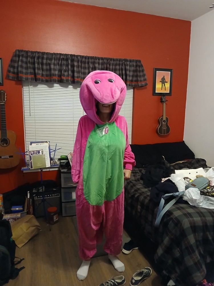 Padded Pink Green Dinosaur One Piece Costume Full Body Outfit