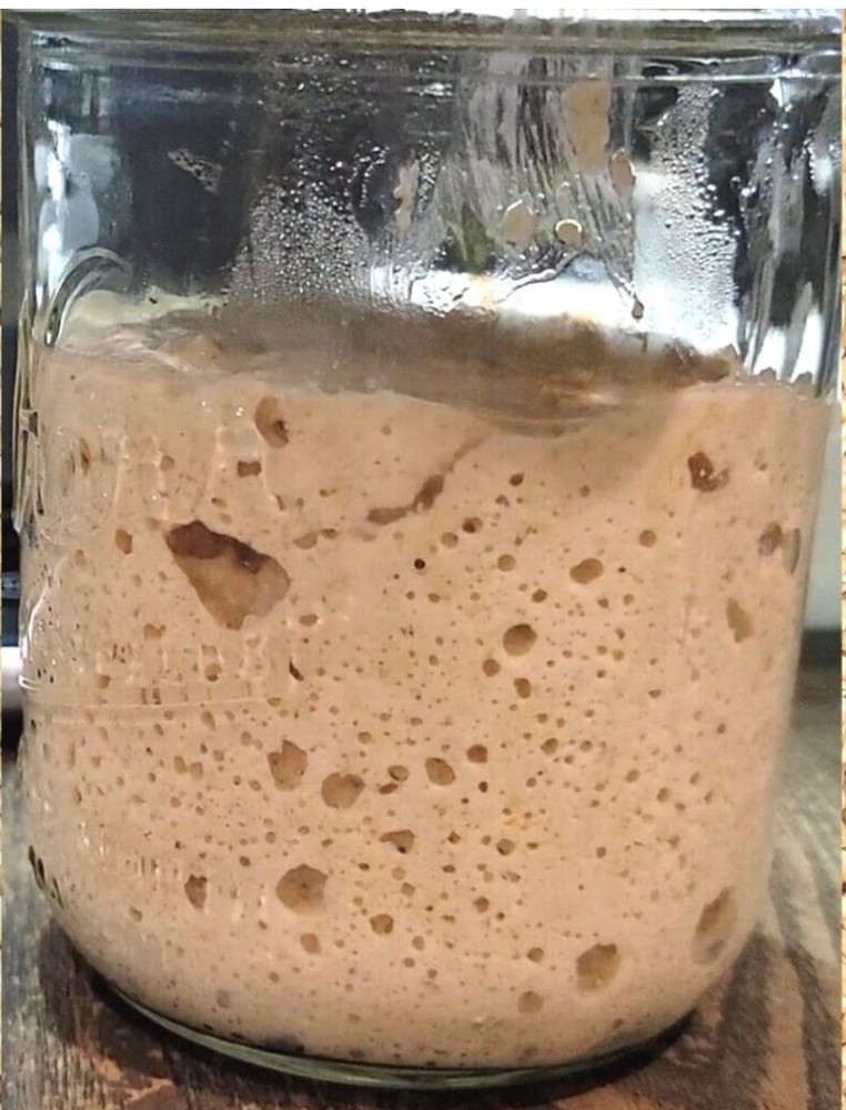 Sourdough Starter Black Death Dark Rye Flour Blend