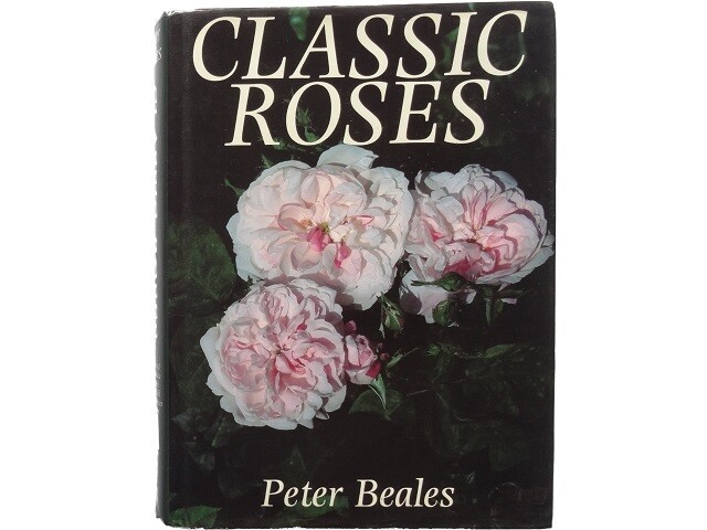 Vintage Rose Photography Book – Classic Botanical Collection