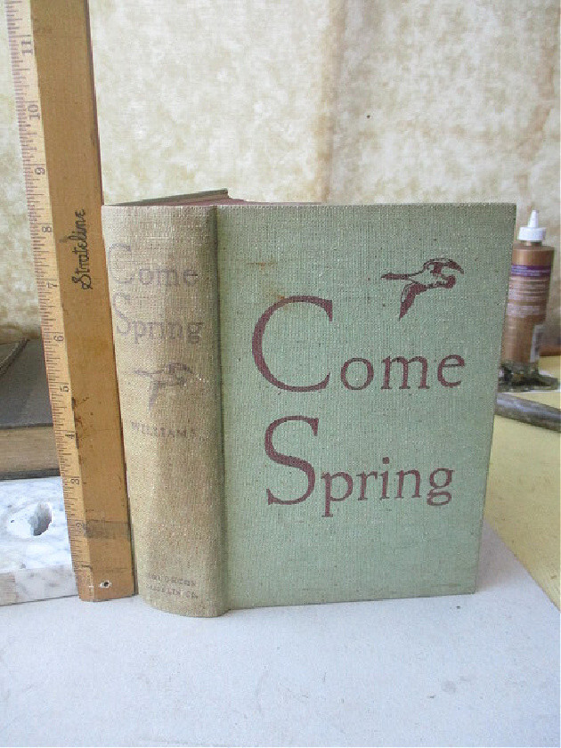 COME SPRING, 1940, Ben Ames WILLIAMS, 1st ED., History of Union, Maine, ME.