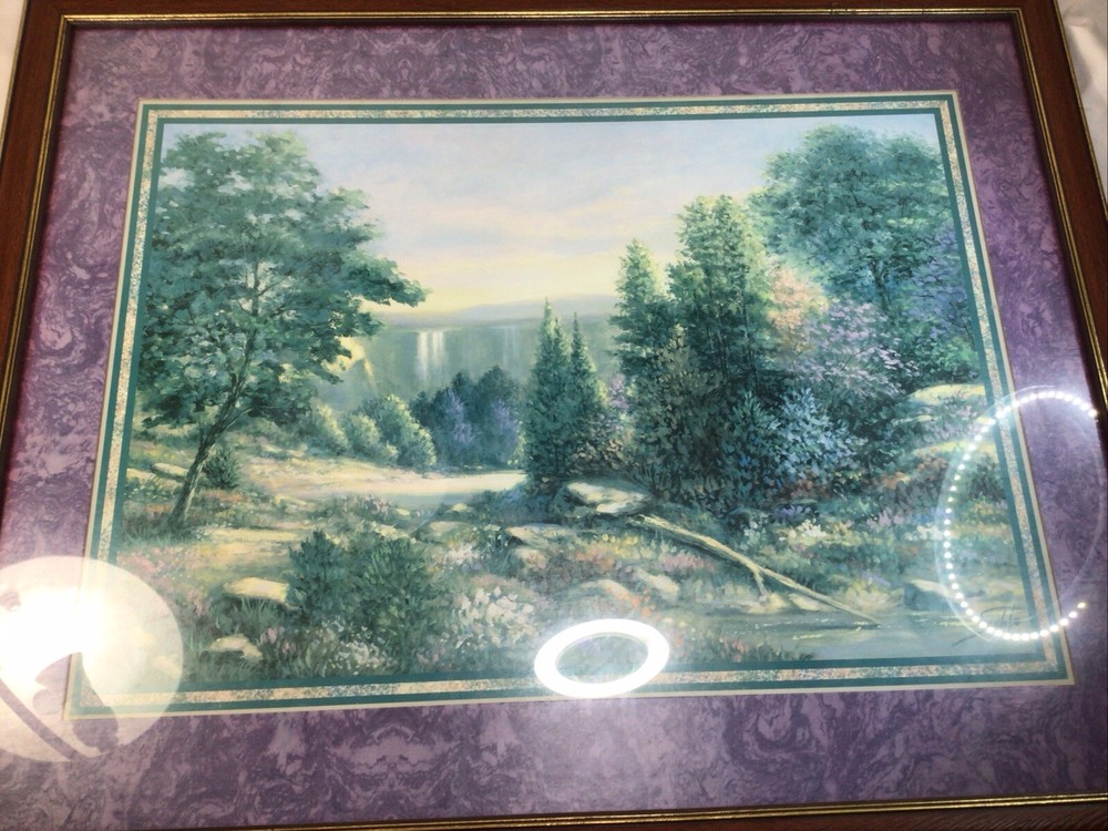 VTG Homco Home Interiors Jeweled Falls Large Scenic Wall Art Sambataro Excellent Used Condition  