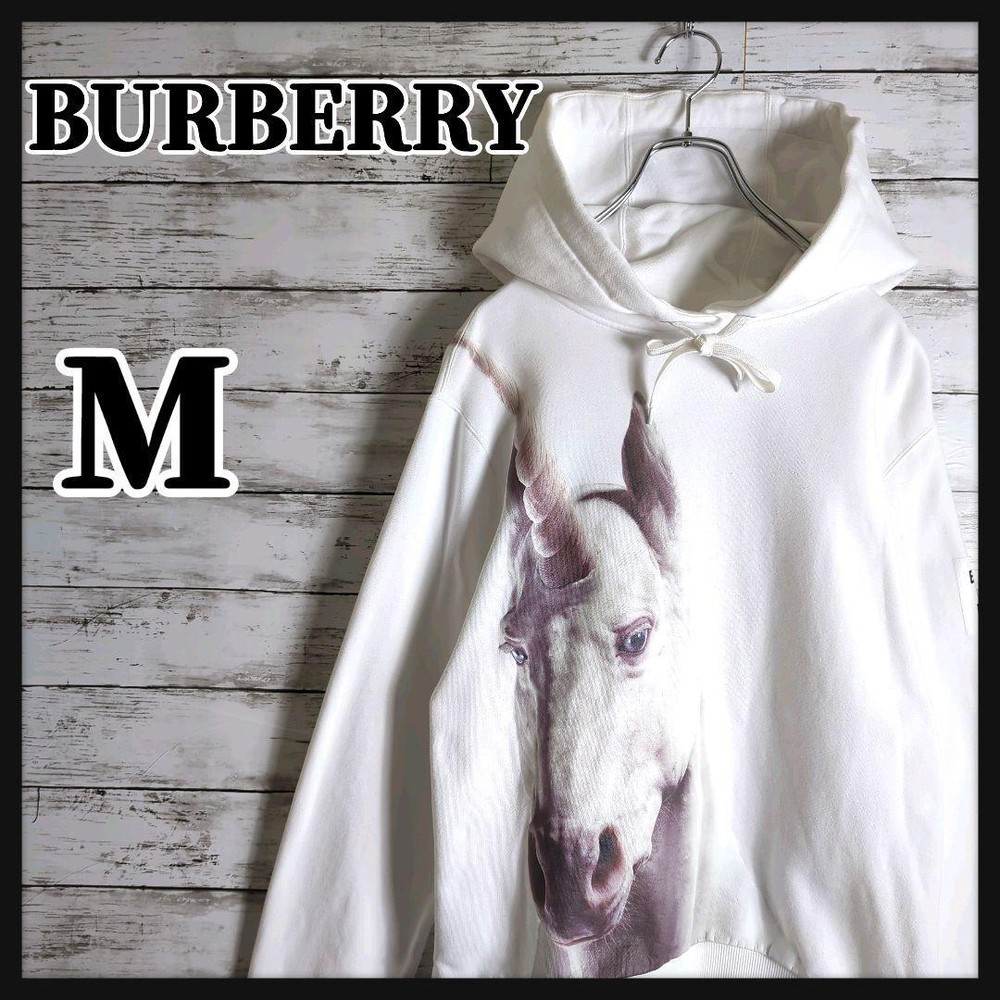Burberry Hoodie Men's Fashion from Japan