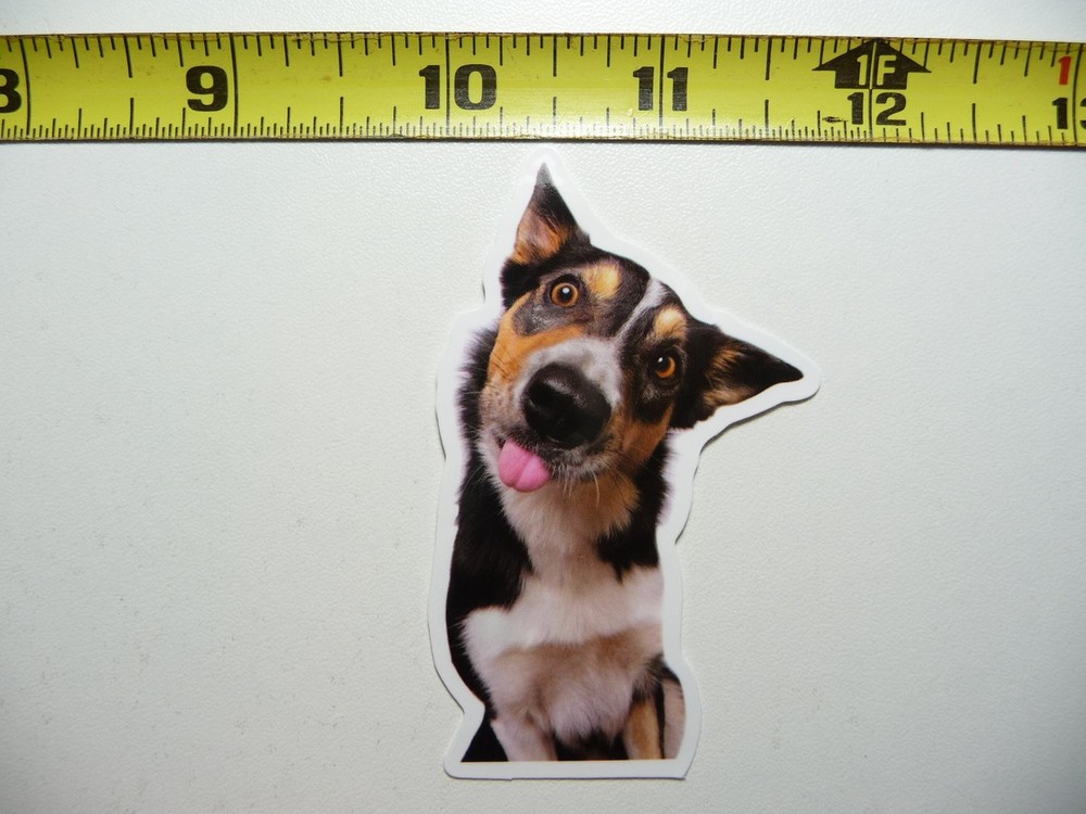 WHO FARTED TONGUE FUNNY STICKER DECAL CUT PET DOG PUPPY FUN