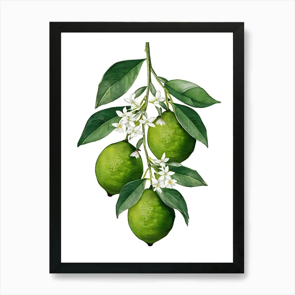 Lemon Tree Bloom Art Print Framed Canvas Wall Decor Picture  