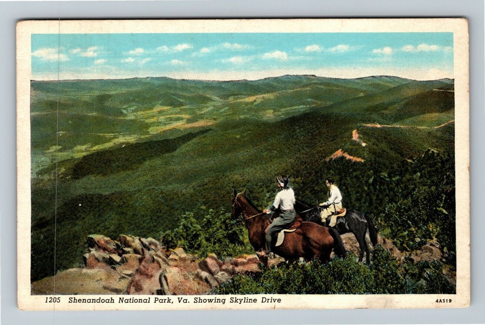 Shenandoah National Park Virginia Scenic Valley Vintage Horse Riders Postcard