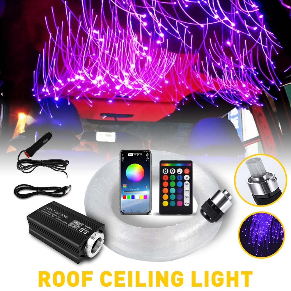 500pc Fiber Optic LED Car/Home Headliner Roof Ceiling 16W RGBW Star Light Kit PI