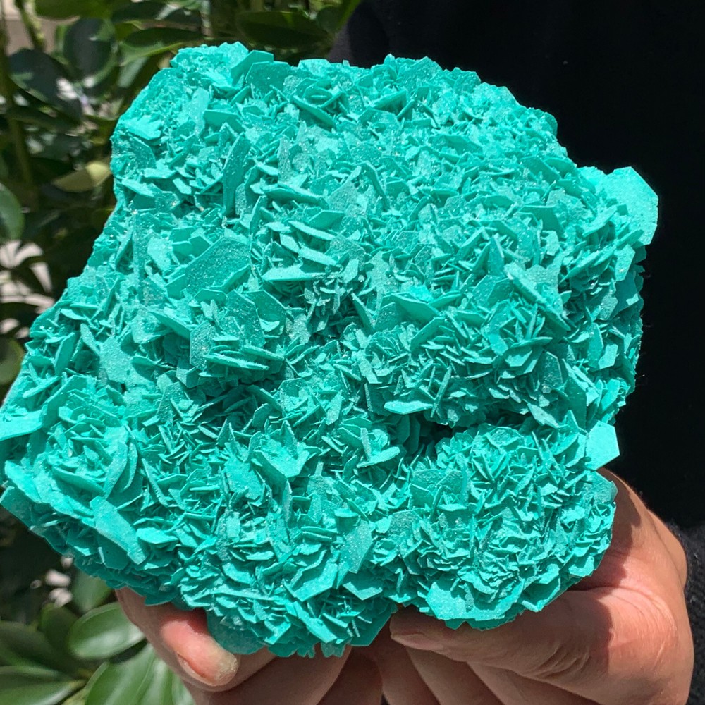 2.14LB Natural sphalerite & ANTLERITE * Rare ARSENATE Minerals-Museum level