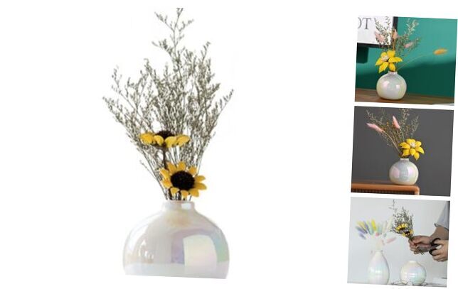 Smalleramic Vase Decorative,olorful Flower Bud Vase,Special Design Style of C