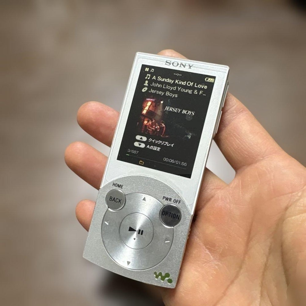 Sony Walkman Digital Audio Player Walkman Silver Portable Music Player