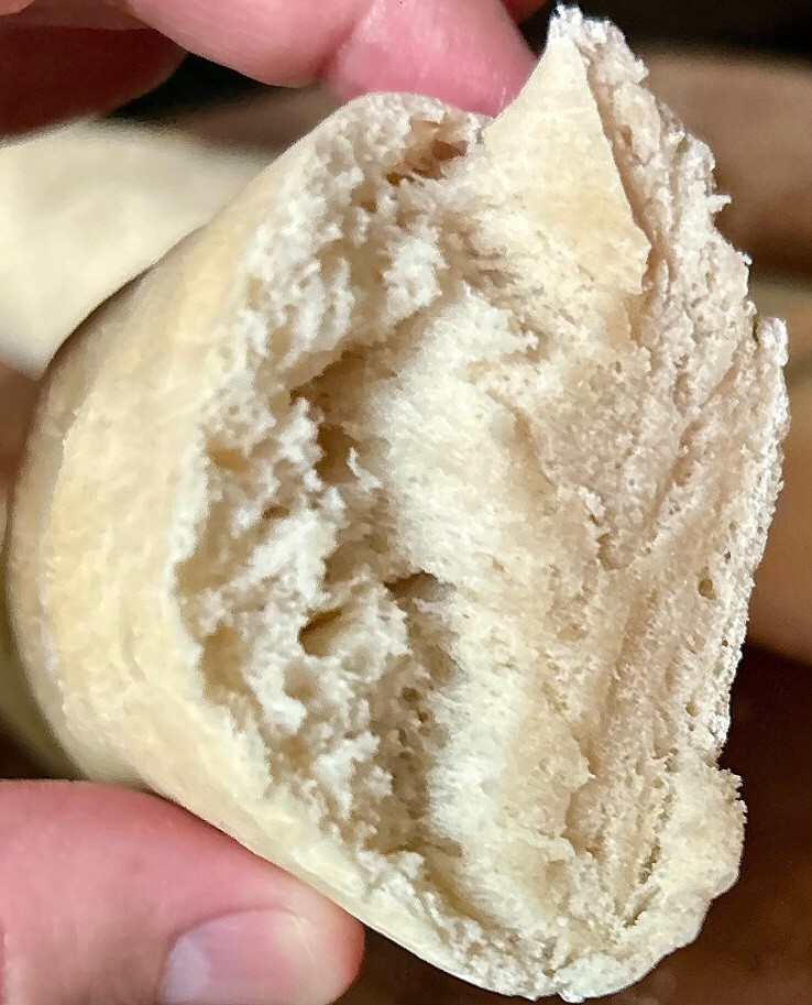 235+ Year Old French Sourdough Starter Culture, Heirloom Culture, Dehydrated