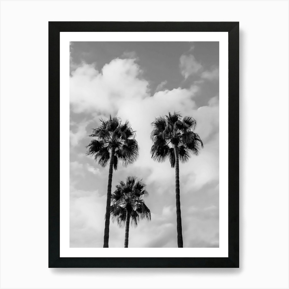 Palm Trees In The Sky 2 Framed Art Print Canvas Wall Decor