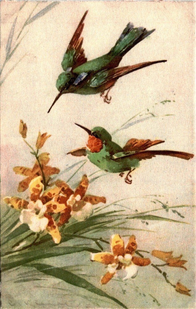 Switzerland, Stehli, STF Postcard