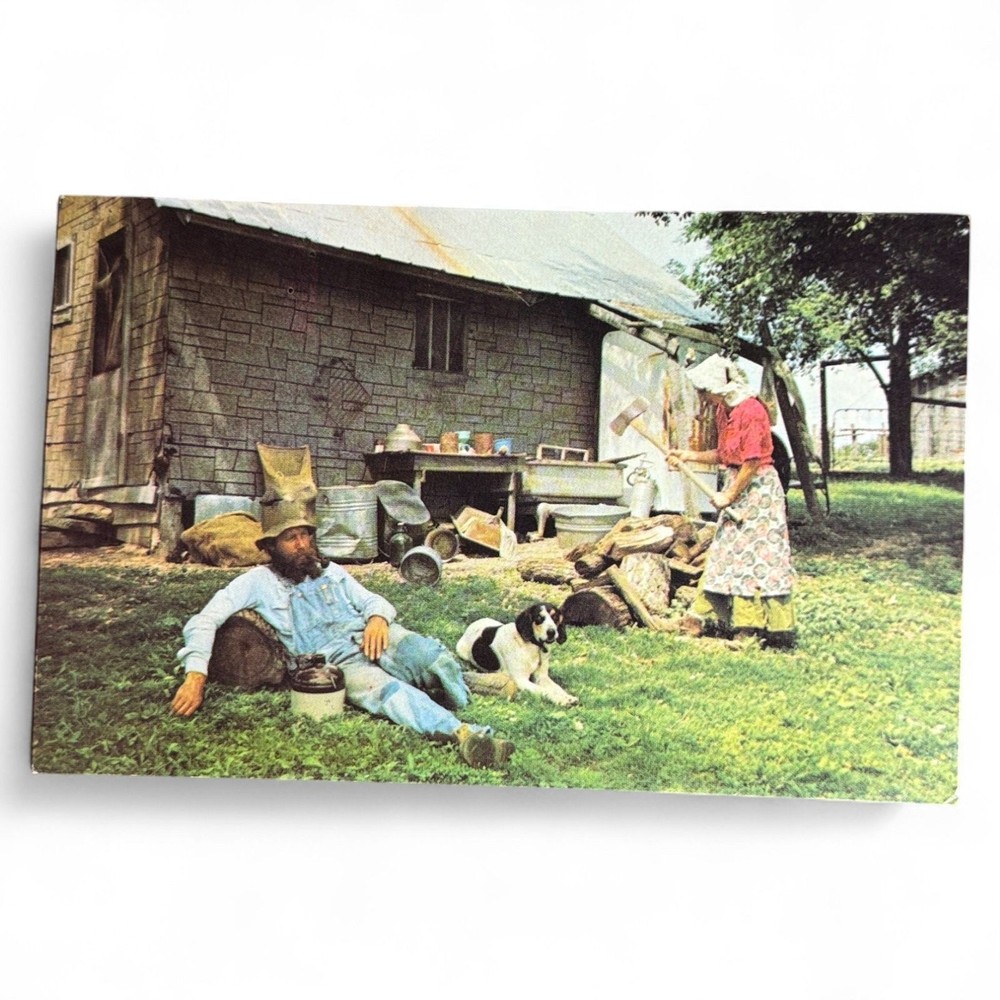 Ozarks Livin Hillbilly Style Vintage Postcard