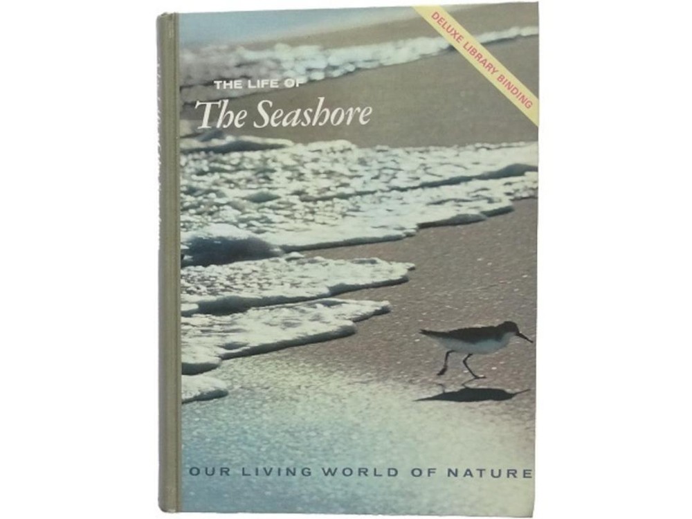 Seaside Life Photo Collection Animals Nature Landscapes