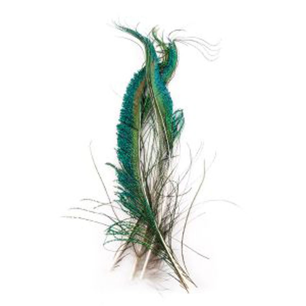 Peacock Swords by Wapsi Fly Tying Feathers
