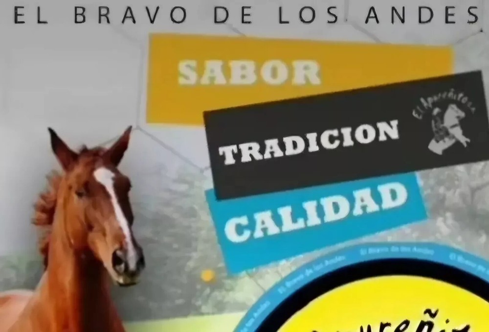 Kit de 18 Apureñito El Bravo De Los Andes Apureño FASTSHIPP Apureno Éxitos NEW