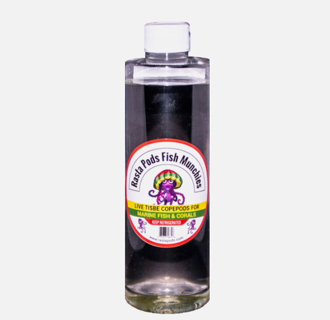 1 (One) 16oz Bottle Of Live  Tisbe Copepods. FREE SHIPPING!!!