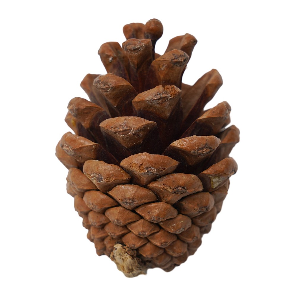 Halloween Mini Artificial Pumpkins Harvest Fall Thanksgiving Home Decor