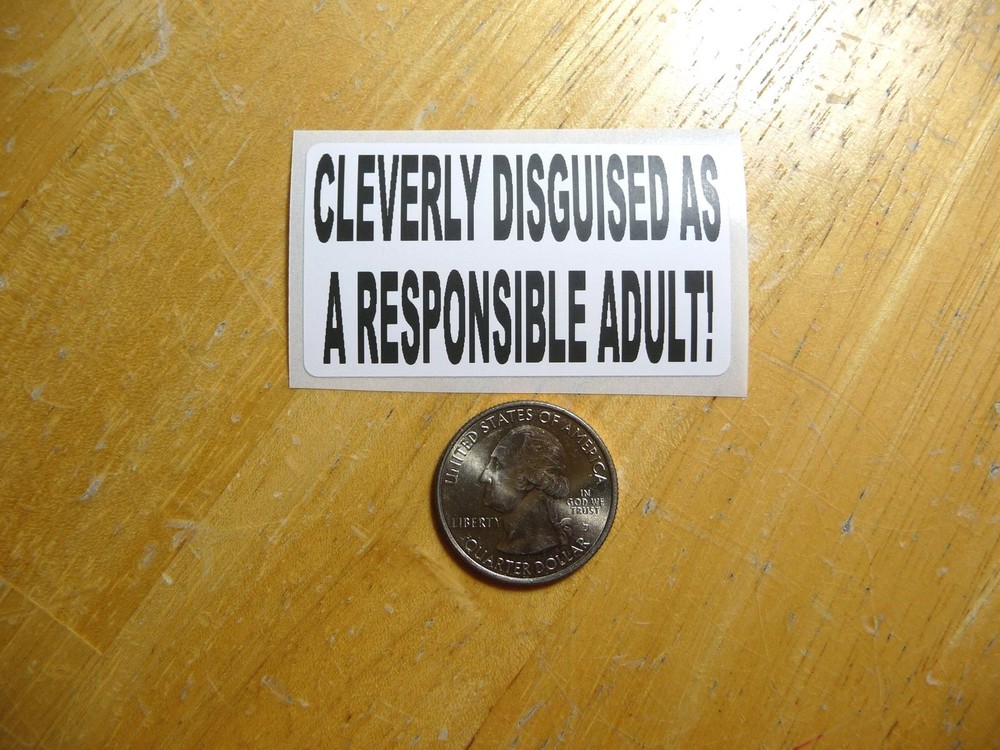 CLEVERLY DISGUISED AS RESPONSIBLE ADULT STICKER DECAL 1 - 50 BULK PACK AVAILABLE