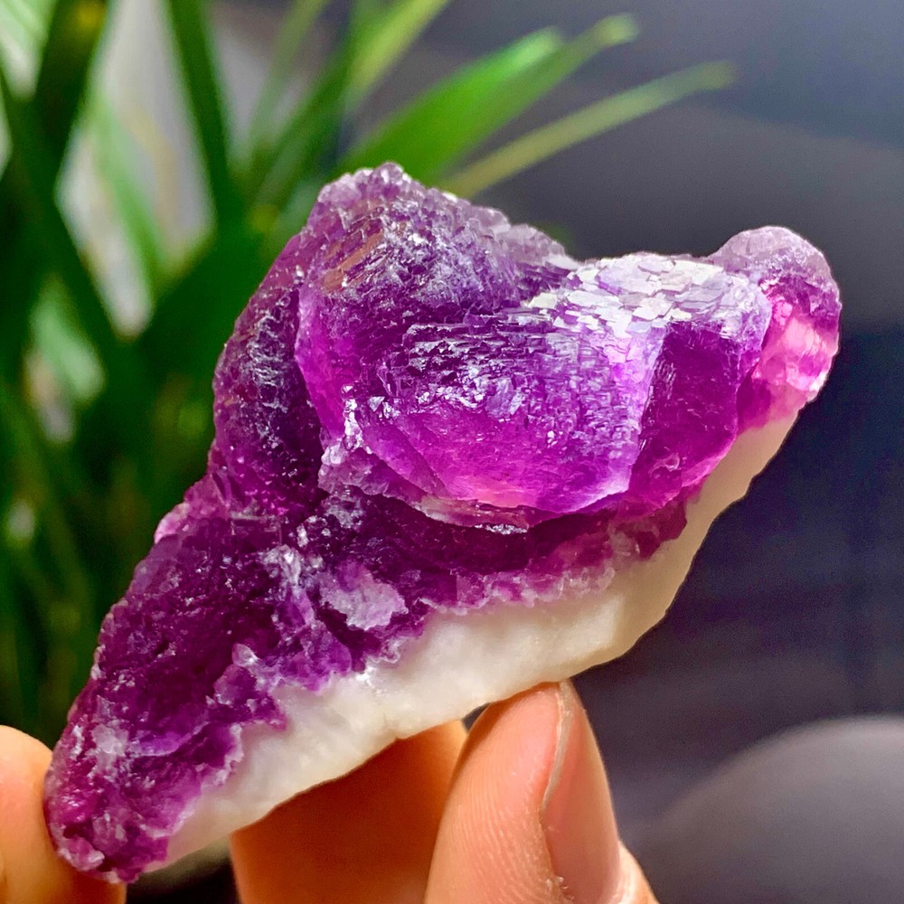 80G Natural Transparent Purple Cubic Fluorite Crystal Specimen from China