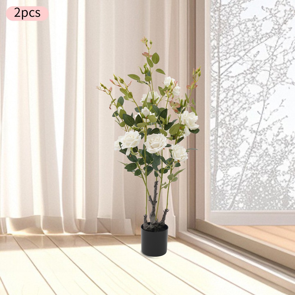 2 Pack 35.4