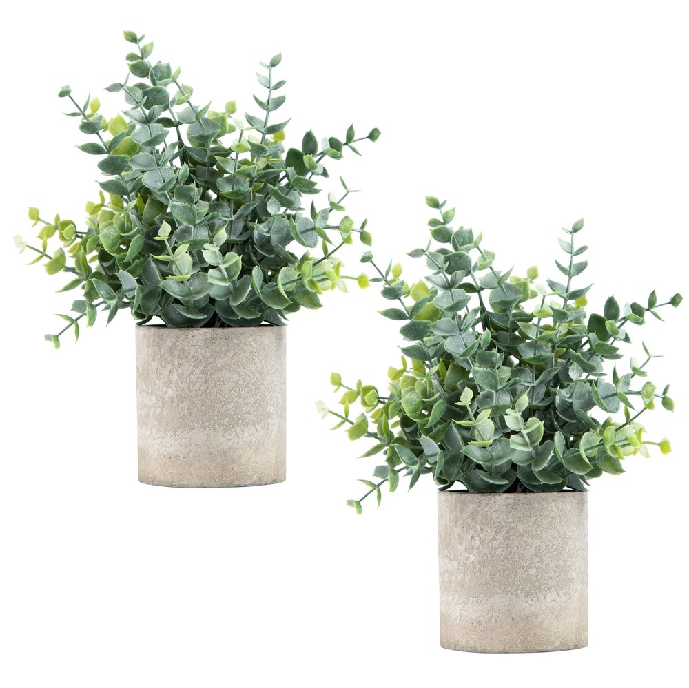 2 Pack Mini Fake Eucalyptus Potted Plants for Desk Shelf Decor  