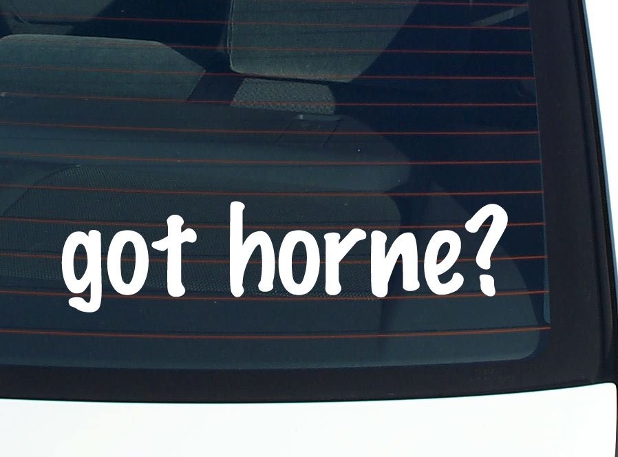 Horne Family Funny Car Decal Bumper Sticker Vinyl Window Pride