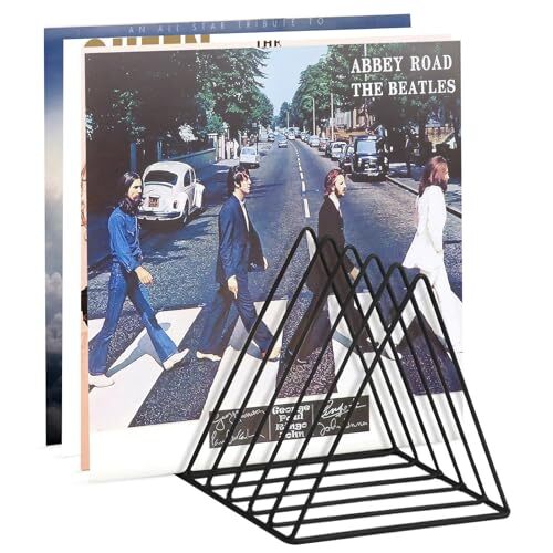 9 Slot Vinyl Holder,Desktop Vinyl Record Storage Holds Up 30 Vinly Black