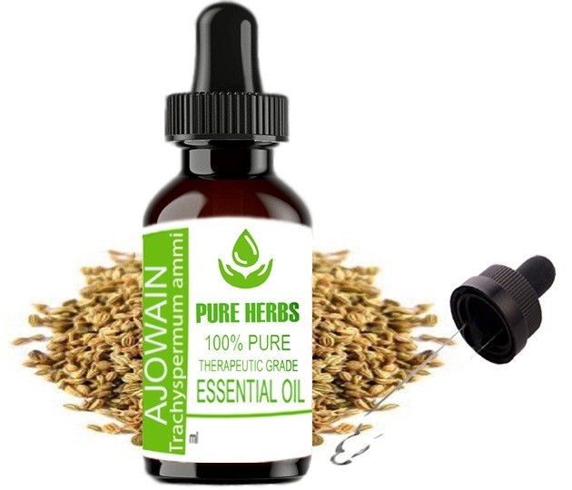 Pure Herbs Ajwain 100% Pure & Natural Trachyspermum Ammi Essential Oil
